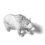 Primeval Bear